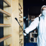Mold-Remediation