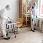 Mold Remediation