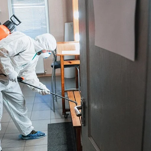 Mold-Remediation